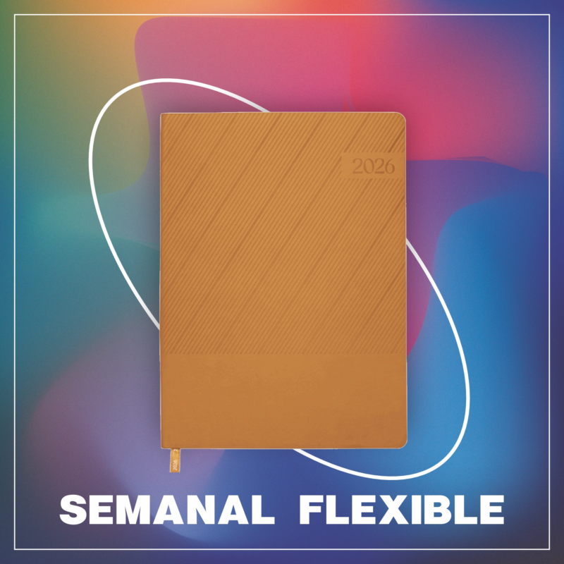 DV-Agenda Semanal Flexible