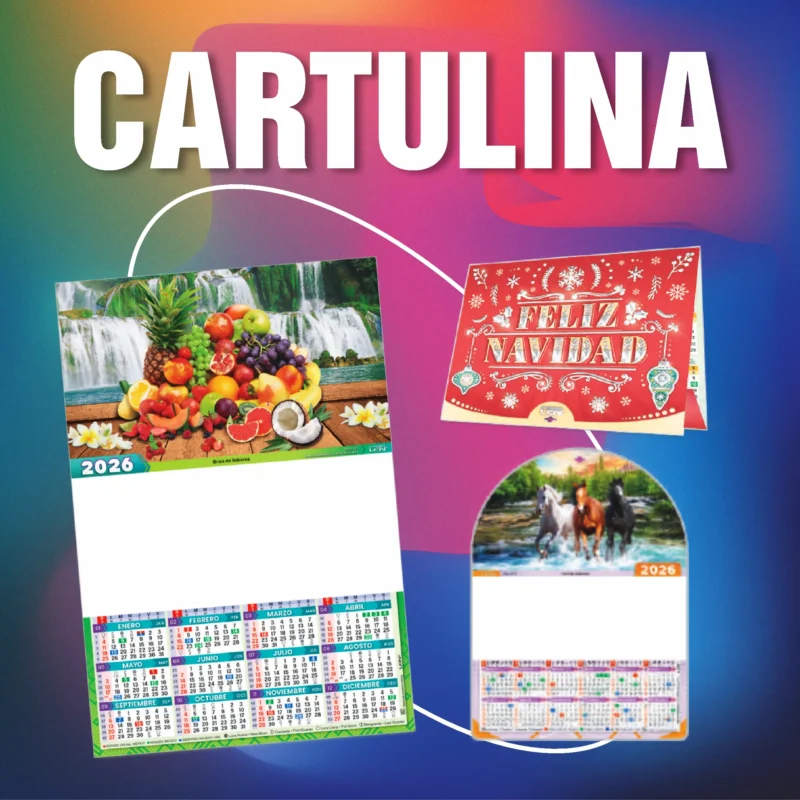 Cartulina